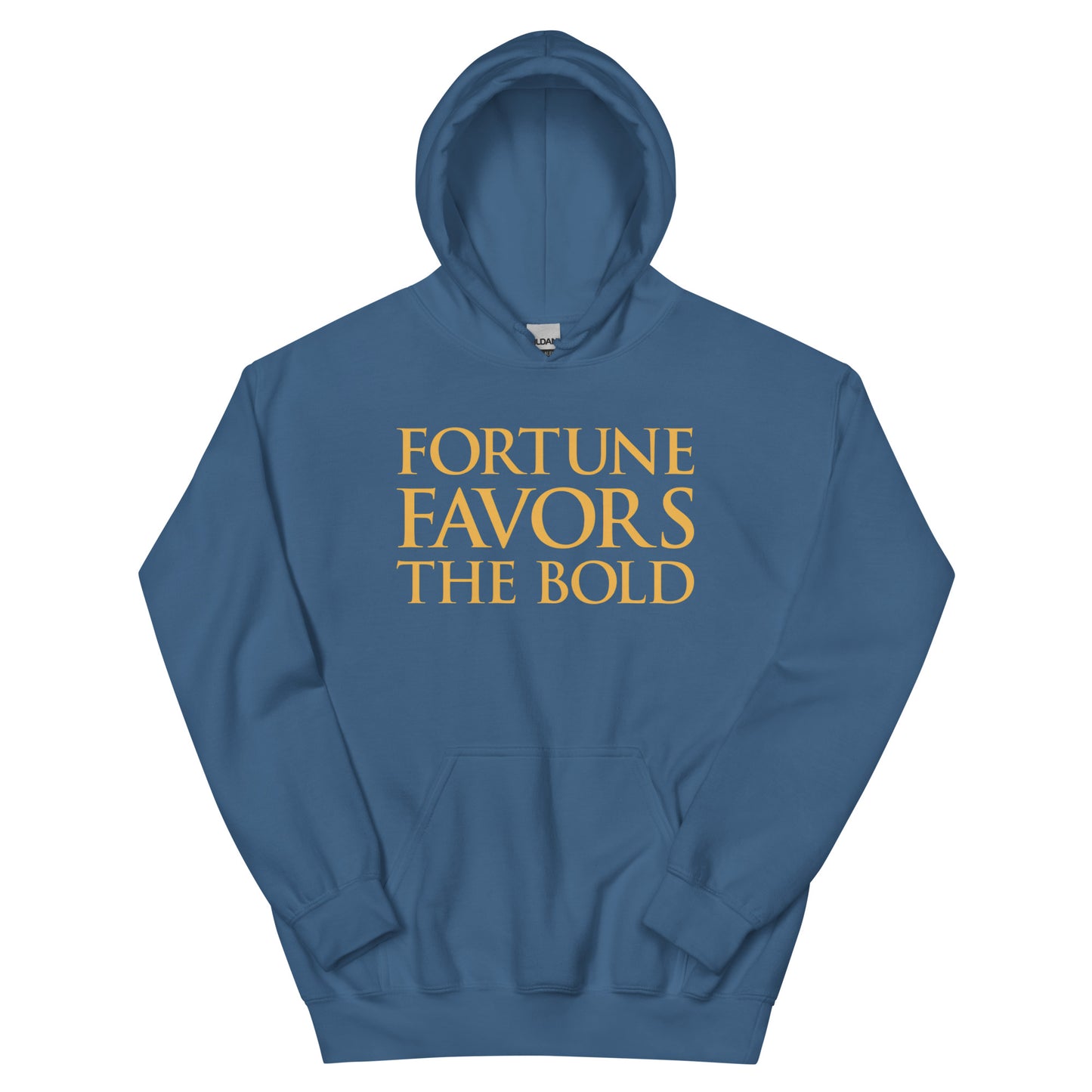 Fortune Favors The Bold Hoodie