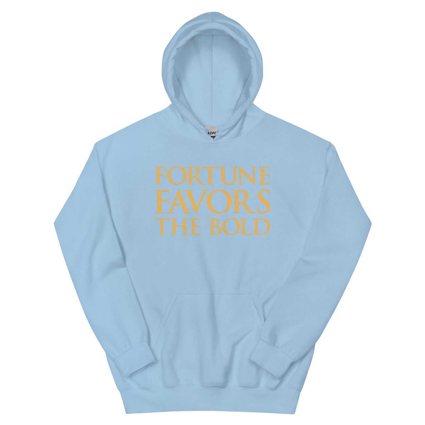 Fortune Favors The Bold Hoodie