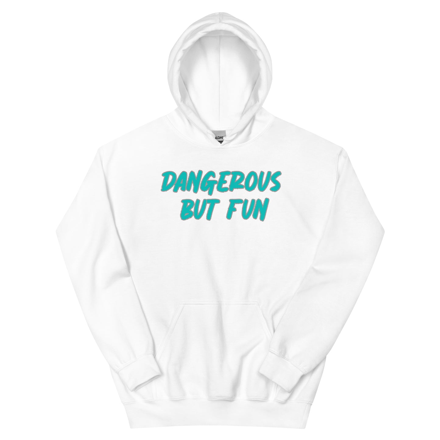 Dangerous but Fun Hoodie