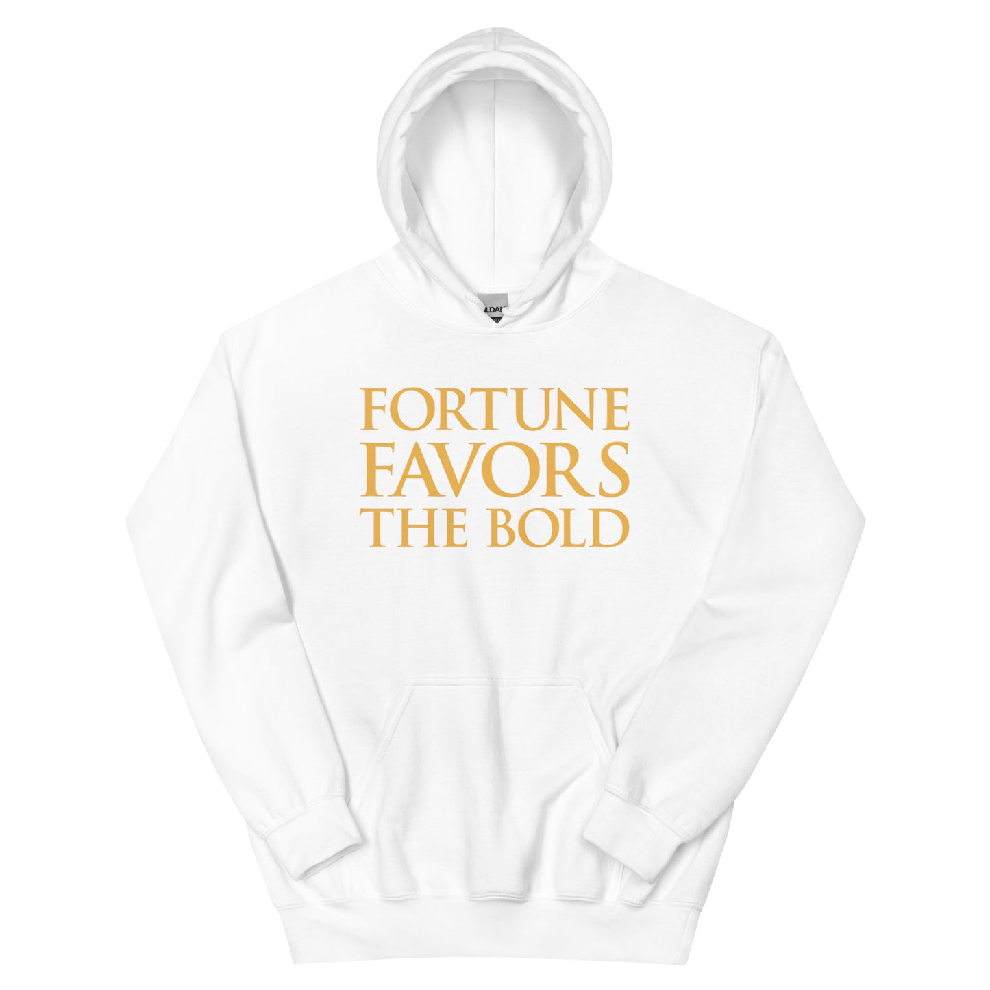 Fortune Favors The Bold Hoodie