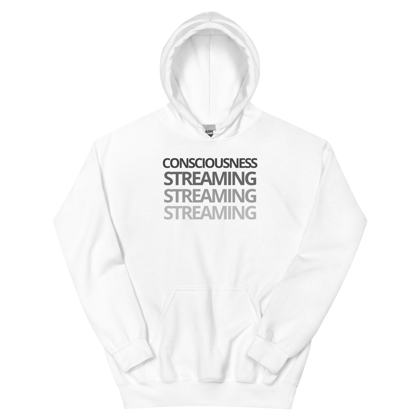 Consciousness Streaming Hoodie