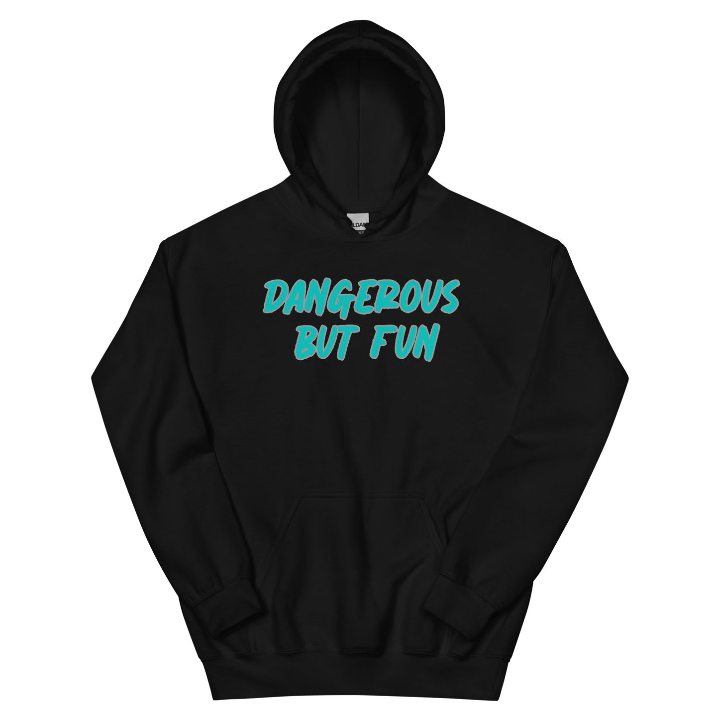 Dangerous but Fun Hoodie