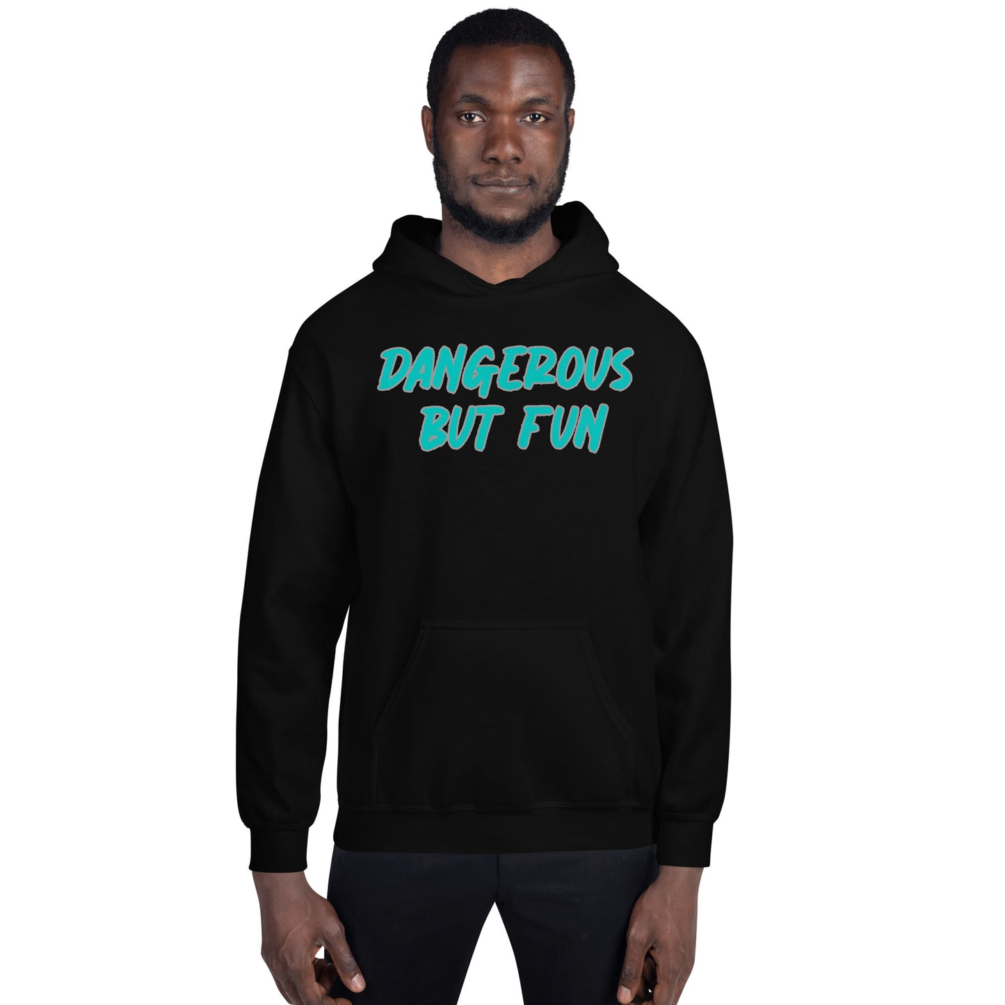 Dangerous but Fun Hoodie