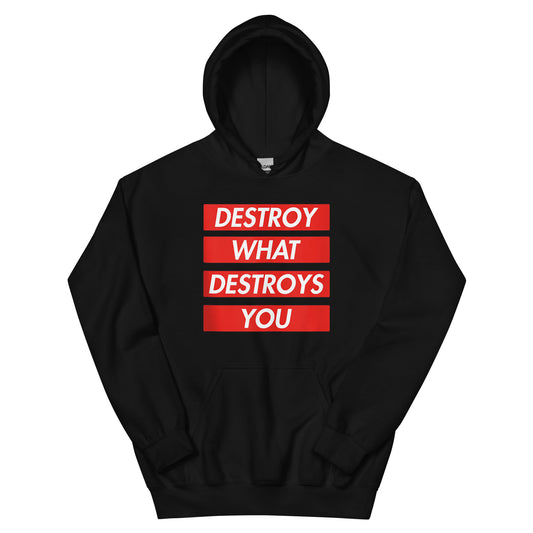 Destroy Hoodie