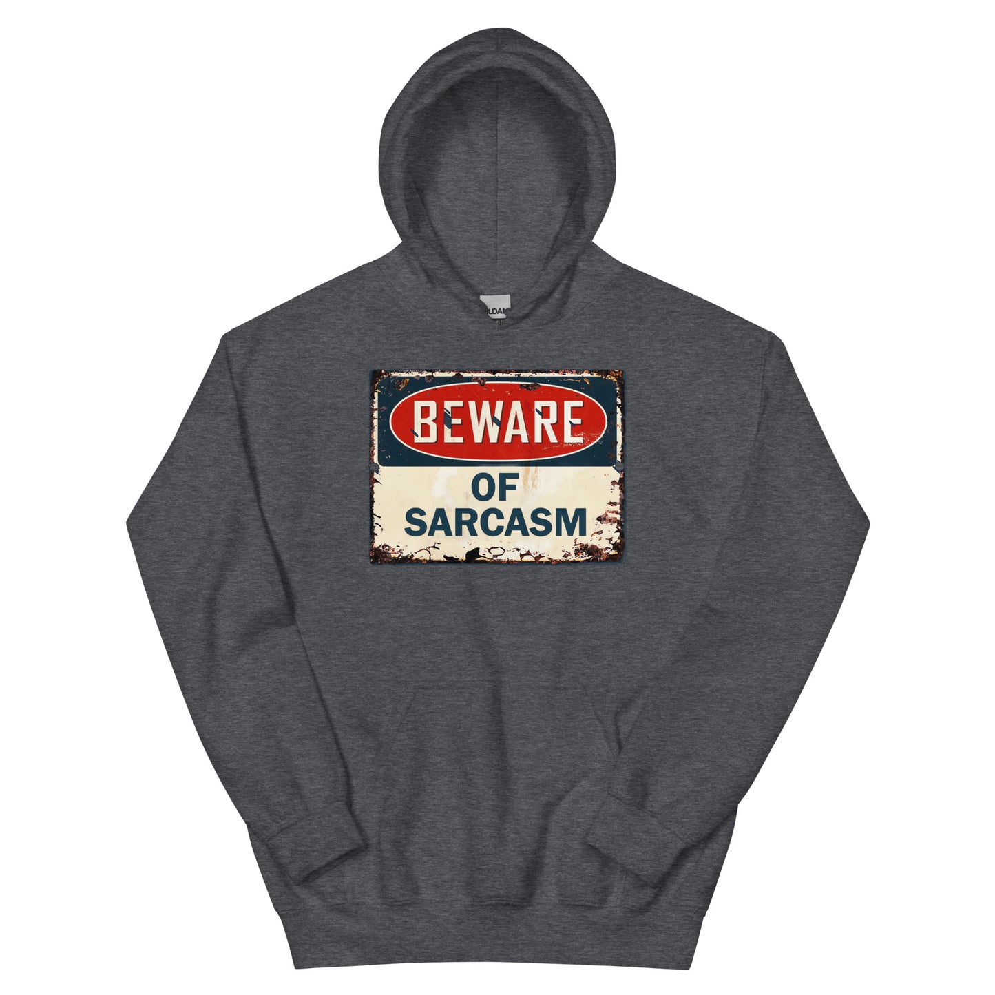Beware of Sarcasm Hoodie
