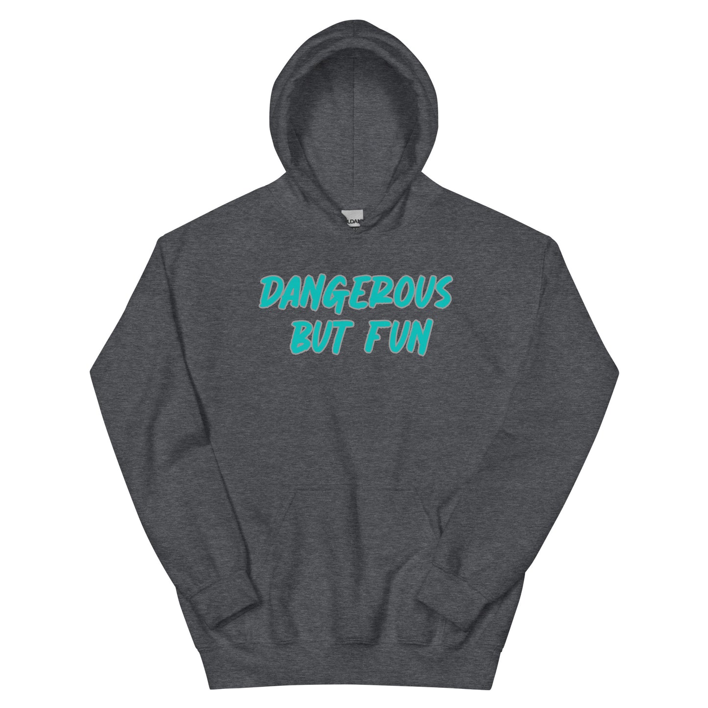 Dangerous but Fun Hoodie