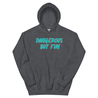 Dangerous but Fun Hoodie