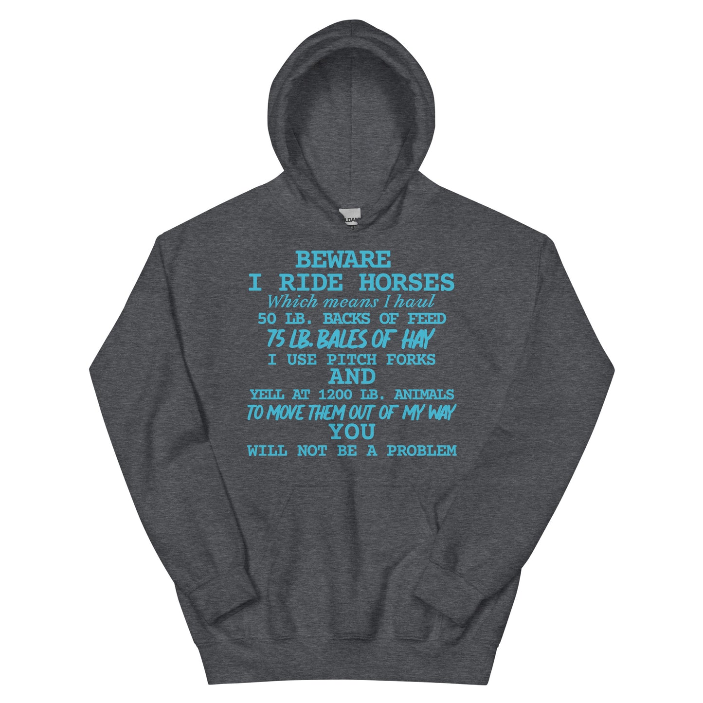 I Ride Horses Hoodie