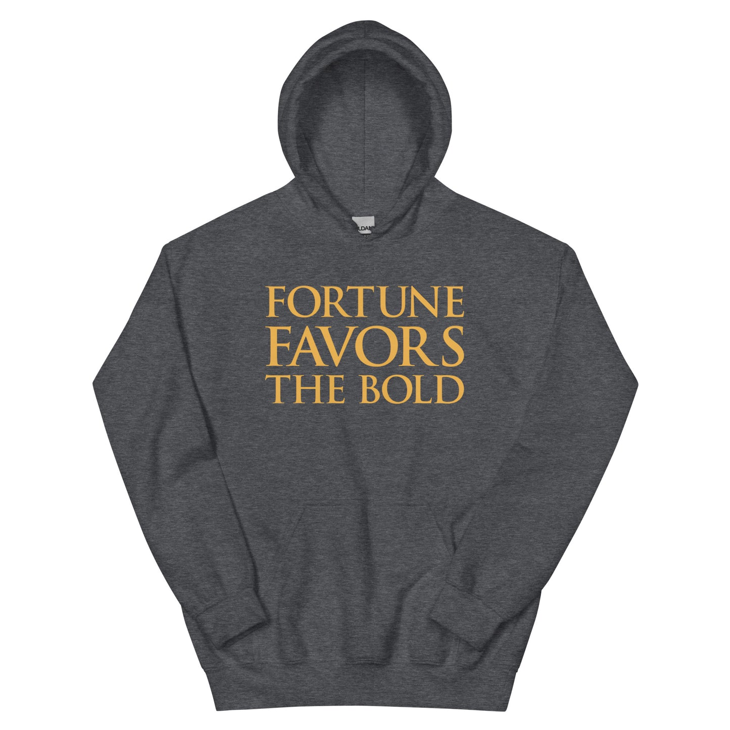 Fortune Favors The Bold Hoodie