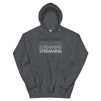 Consciousness Streaming Hoodie