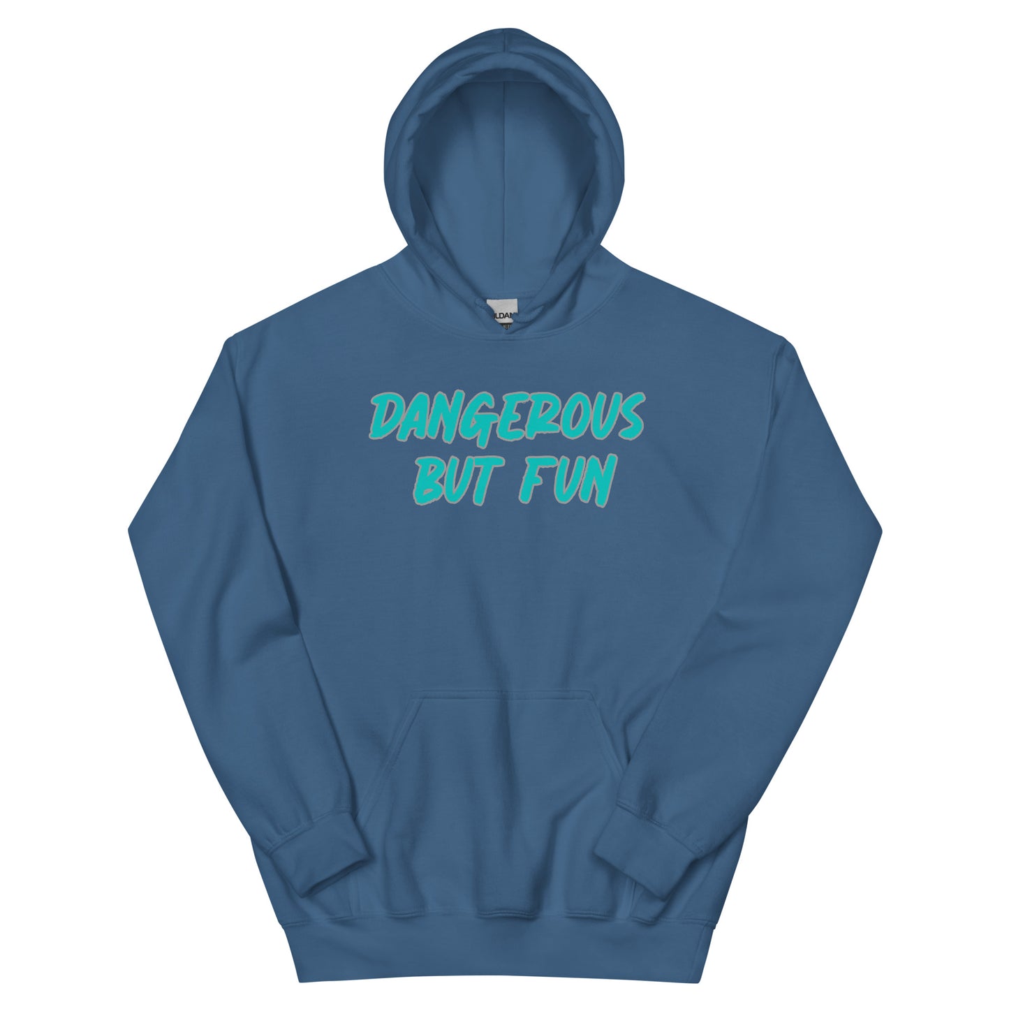 Dangerous but Fun Hoodie