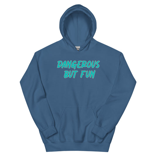 Dangerous but Fun Hoodie
