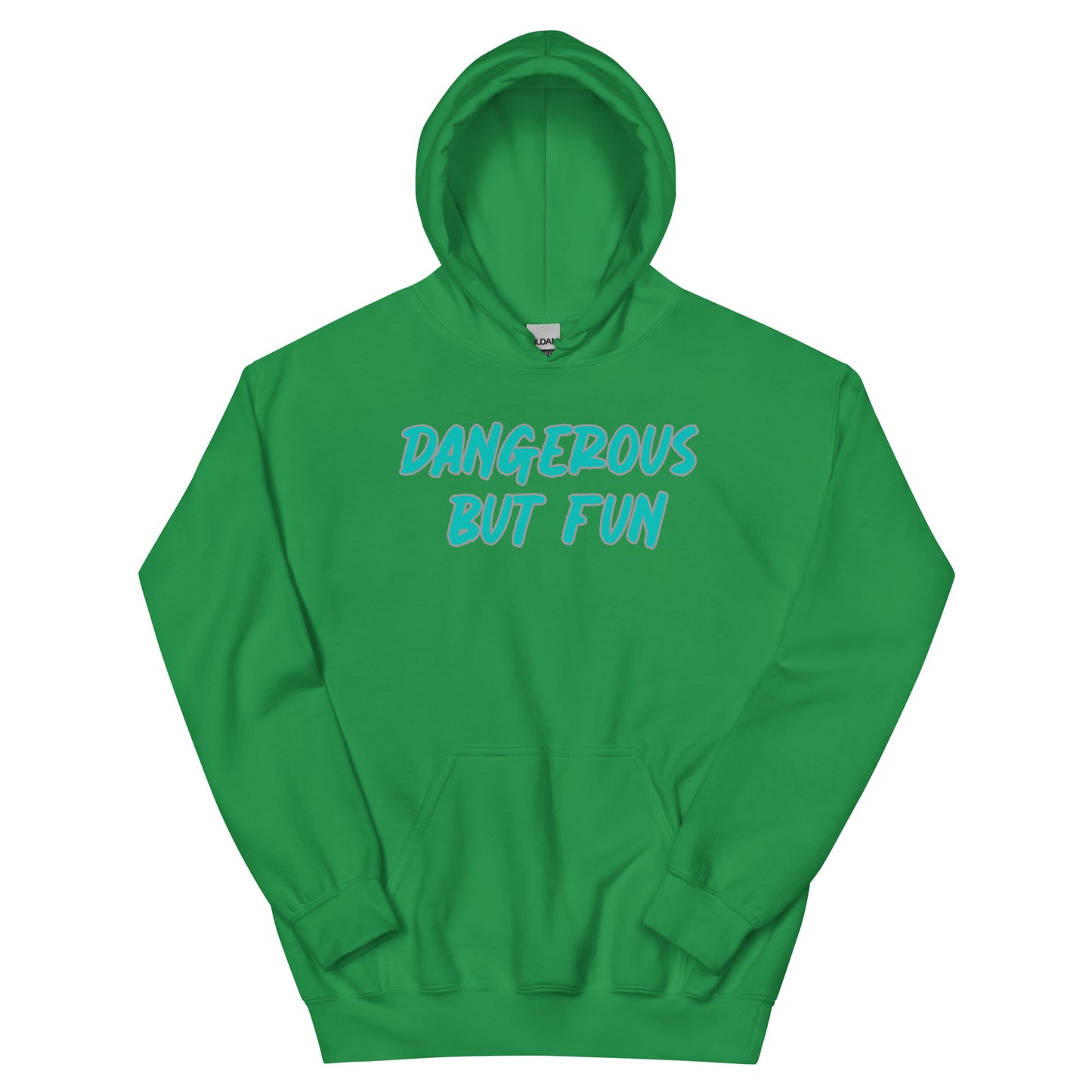 Dangerous but Fun Hoodie