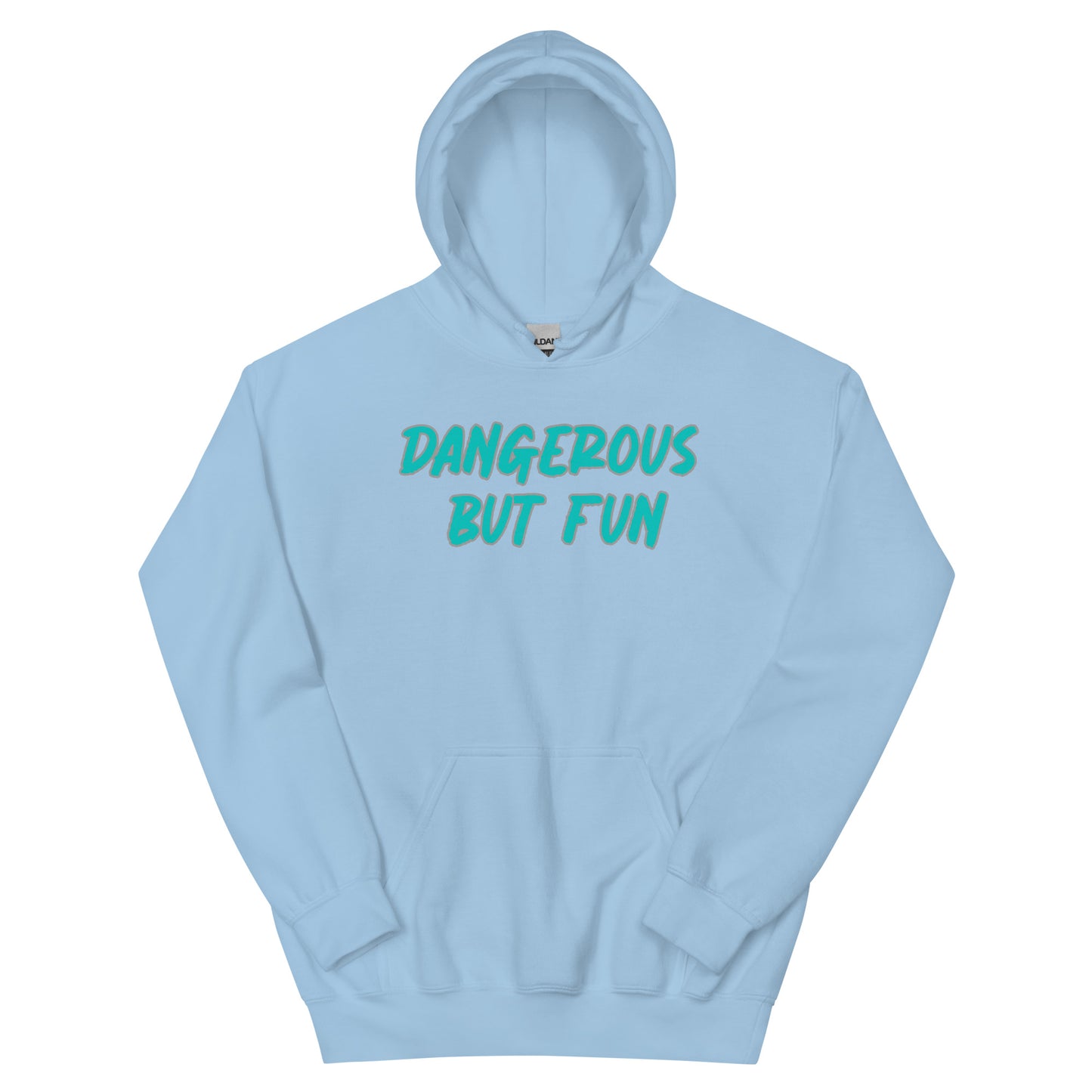 Dangerous but Fun Hoodie
