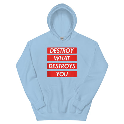 Destroy Hoodie
