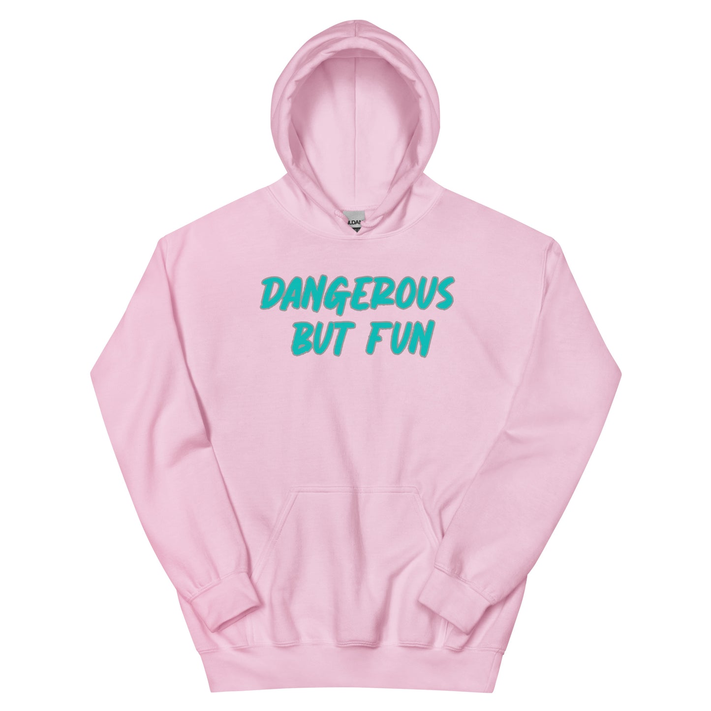 Dangerous but Fun Hoodie