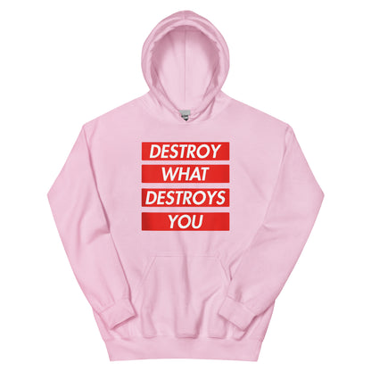 Destroy Hoodie