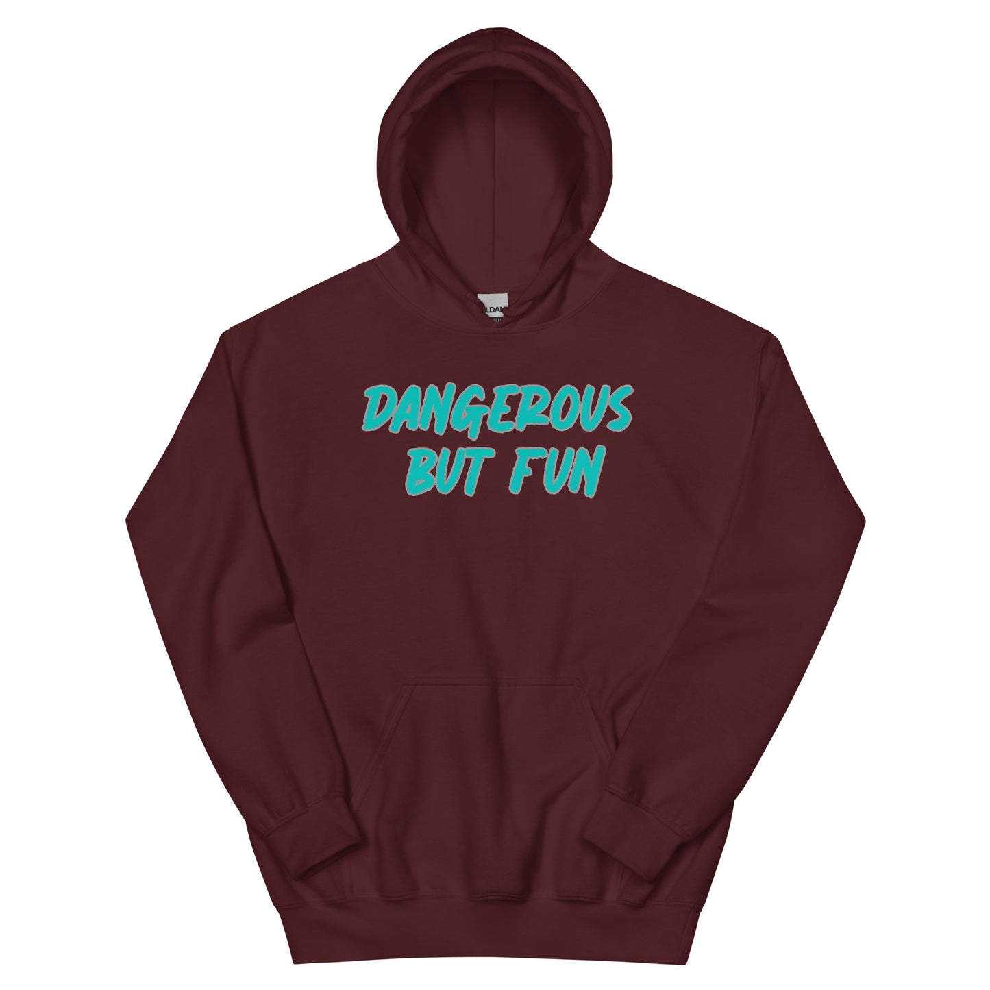 Dangerous but Fun Hoodie
