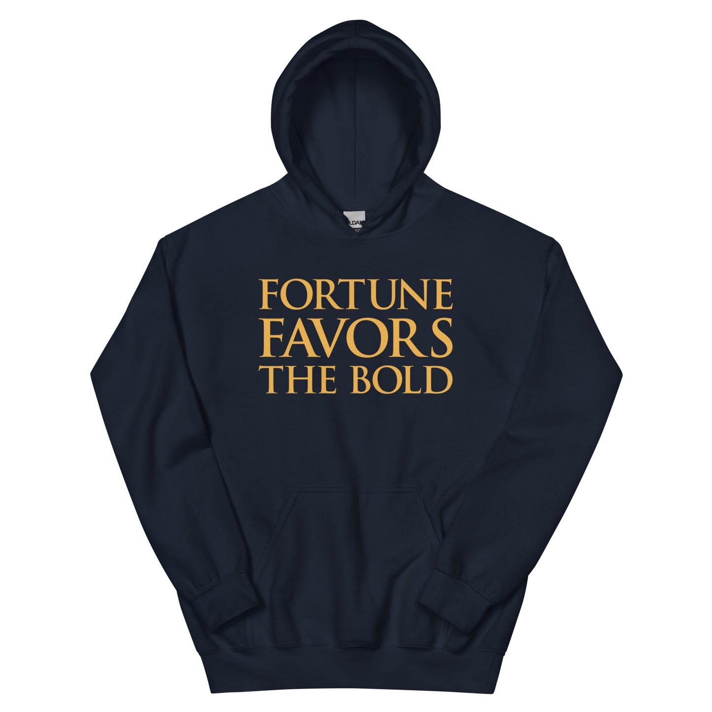Fortune Favors The Bold Hoodie