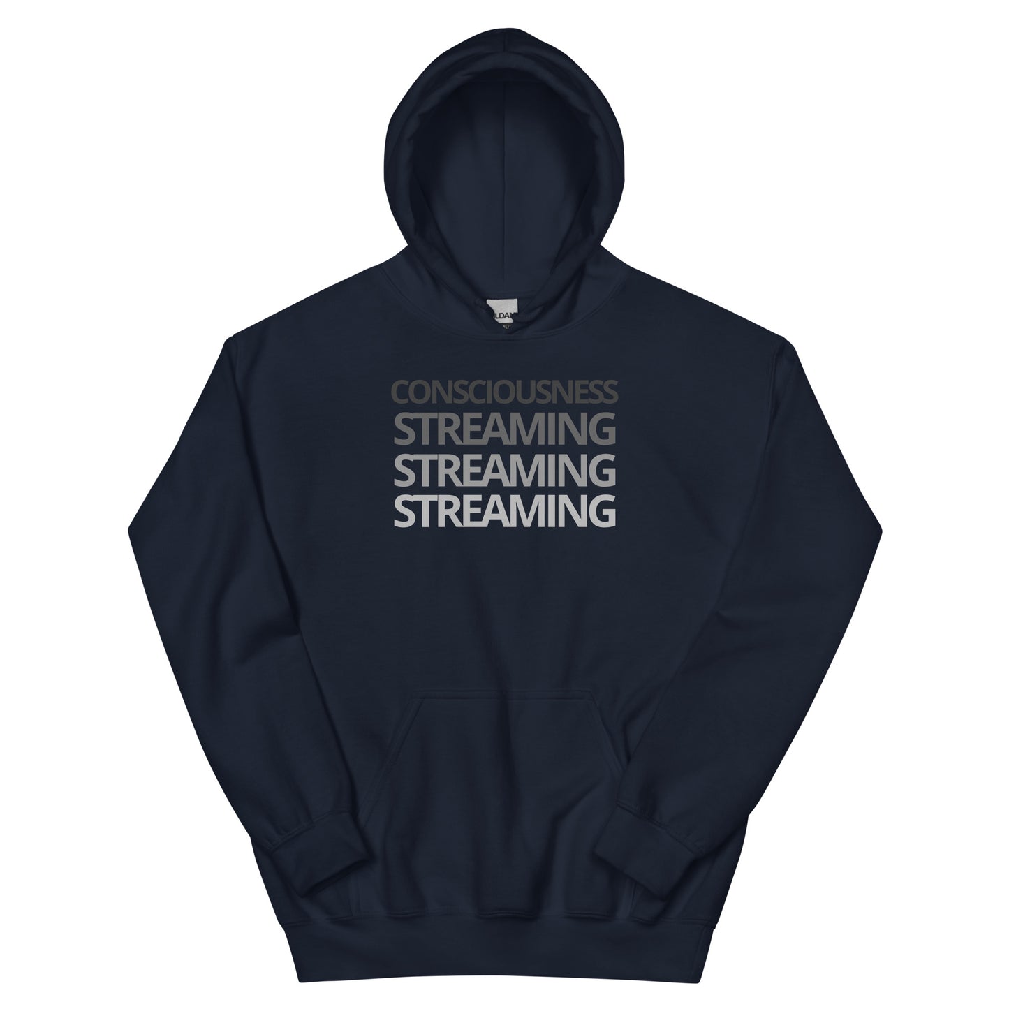 Consciousness Streaming Hoodie