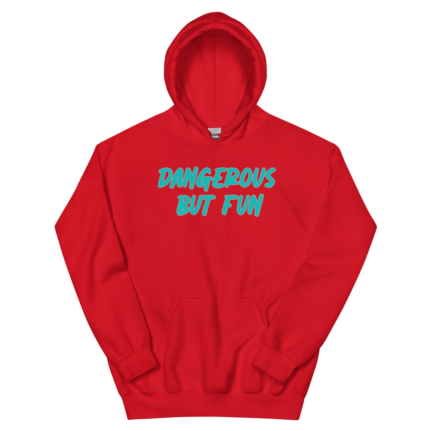 Dangerous but Fun Hoodie