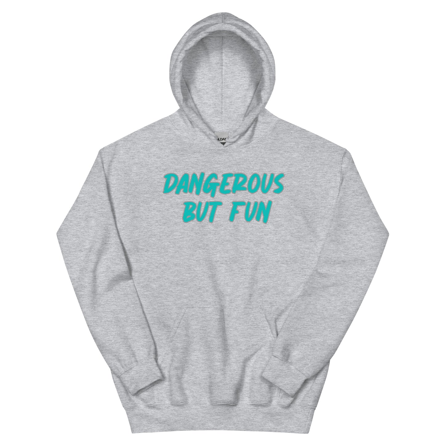 Dangerous but Fun Hoodie