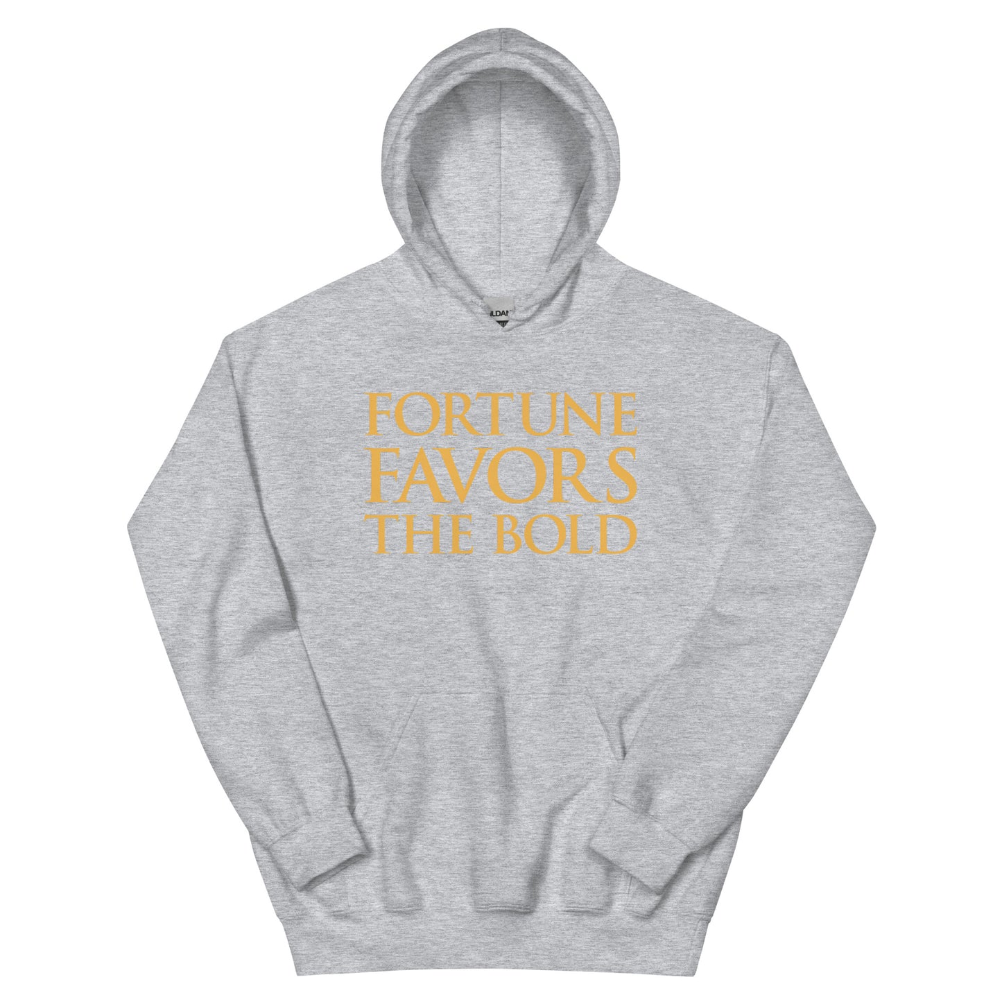 Fortune Favors The Bold Hoodie