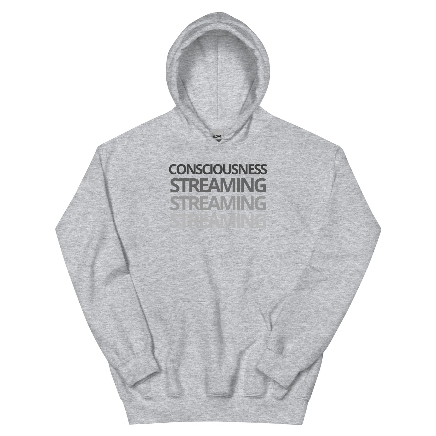 Consciousness Streaming Hoodie