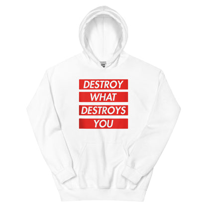 Destroy Hoodie